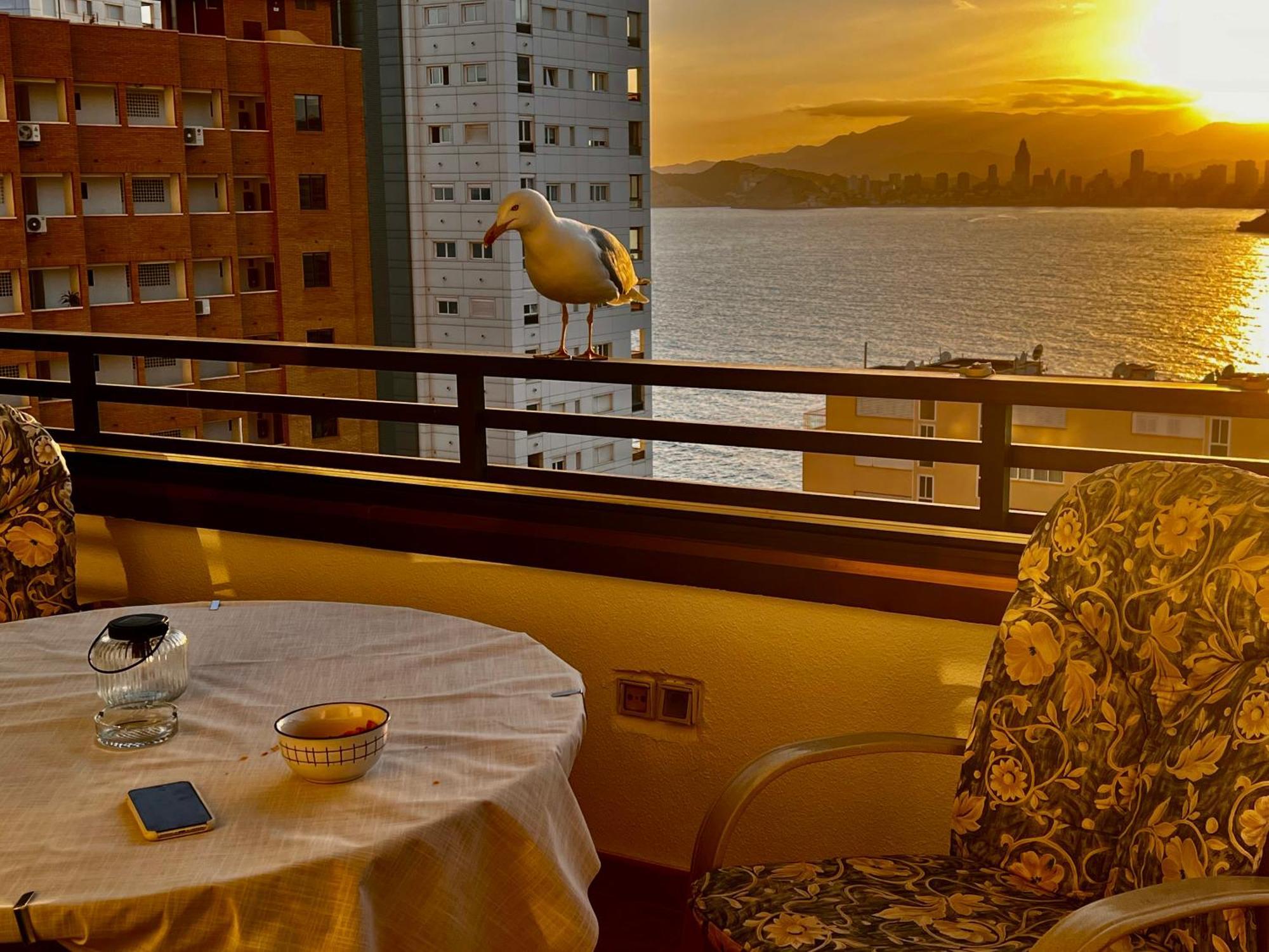 Blue Big Lagoon Trinisol2 Benidorm Ngoại thất bức ảnh